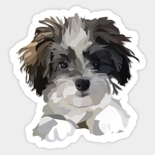 Cute Cavachon Maltese Poodle Mix Dog Sticker